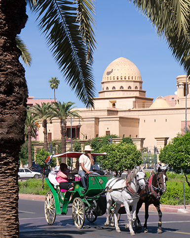 horse carriage in cosmopolitan morocco