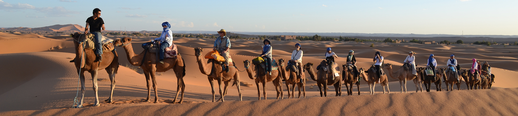 relaxing camel ride in the desert